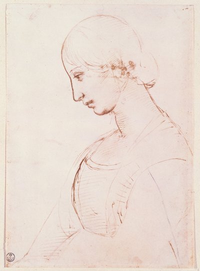 Portrait of a young woman by Raffaello Sanzio Raphael